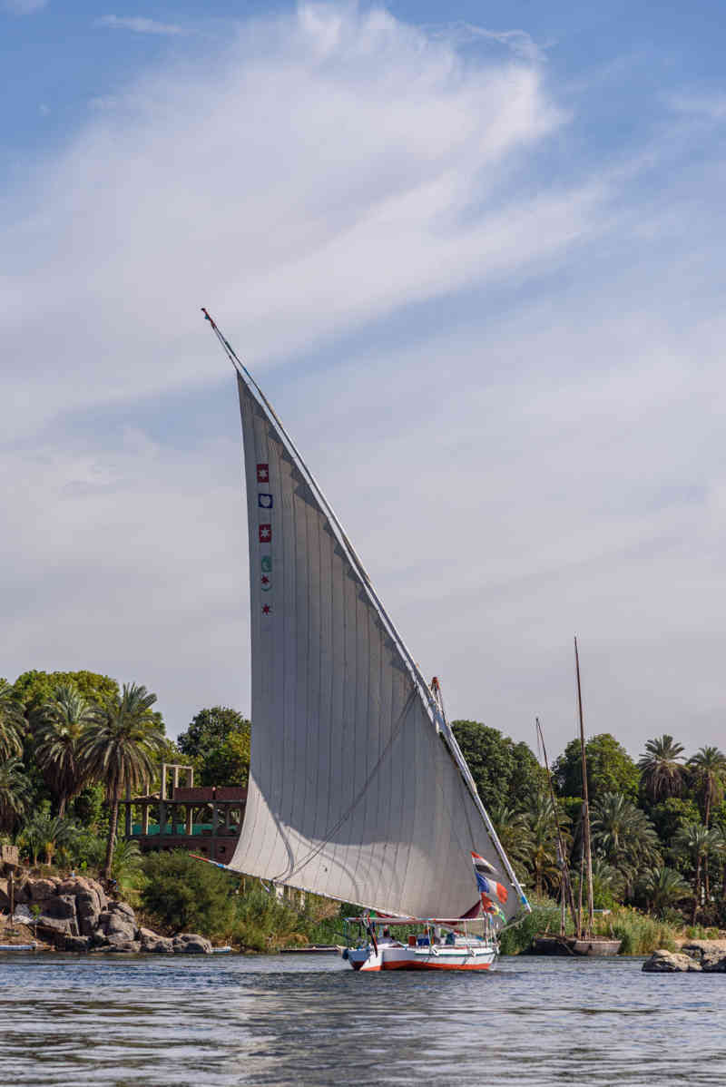 Egipto 372 - rio Nilo - paisajes ribereños - falupa.jpg
